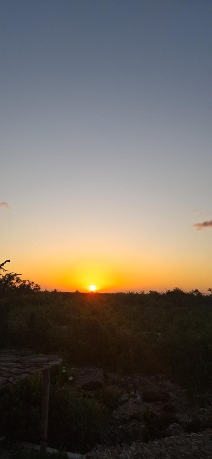 Buffalo Homes Vacation rental in Tanzania