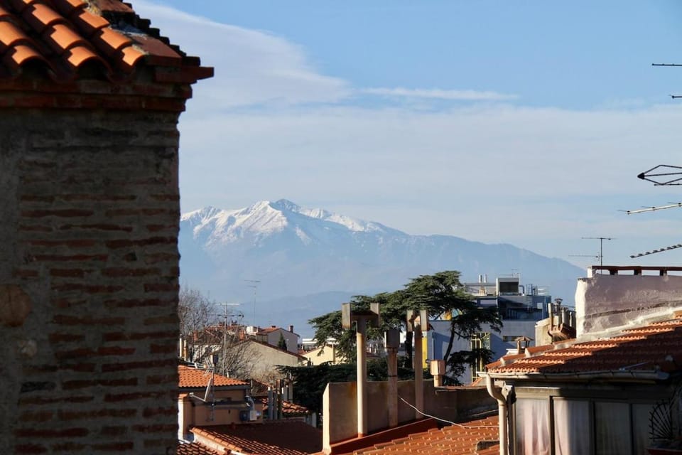Charming duplex with 2 terraces Apartment in Perpignan