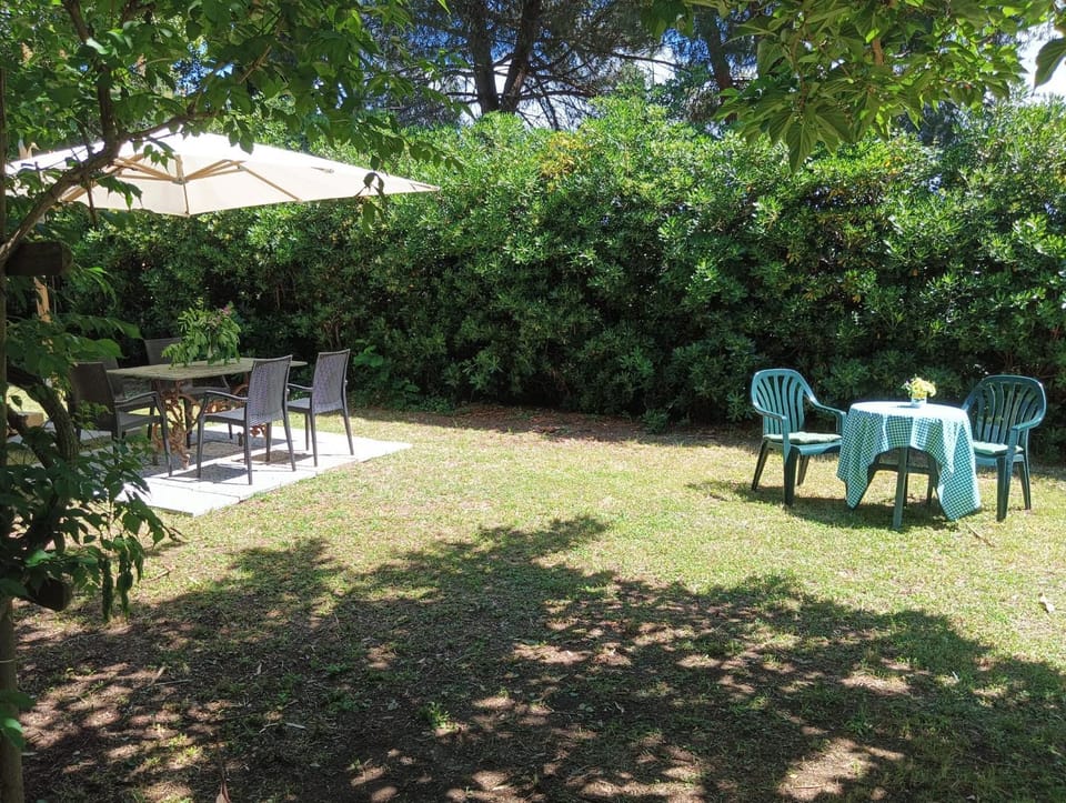 Patio, Dining area