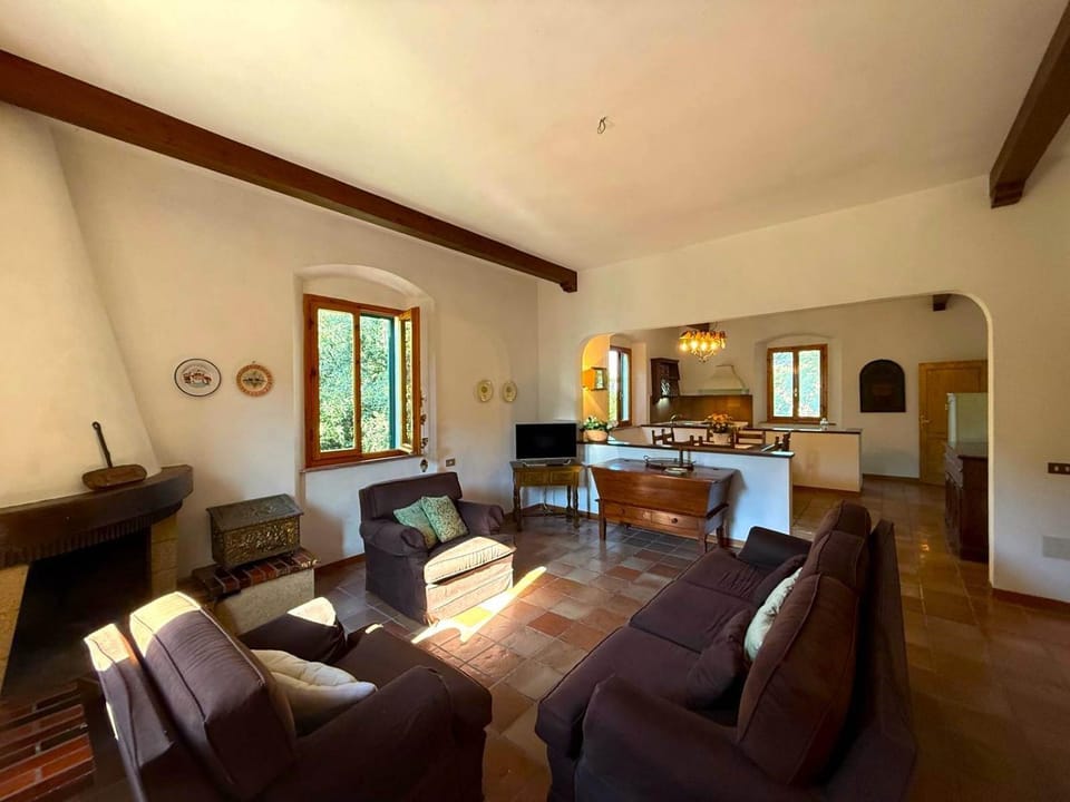 Living room, fireplace