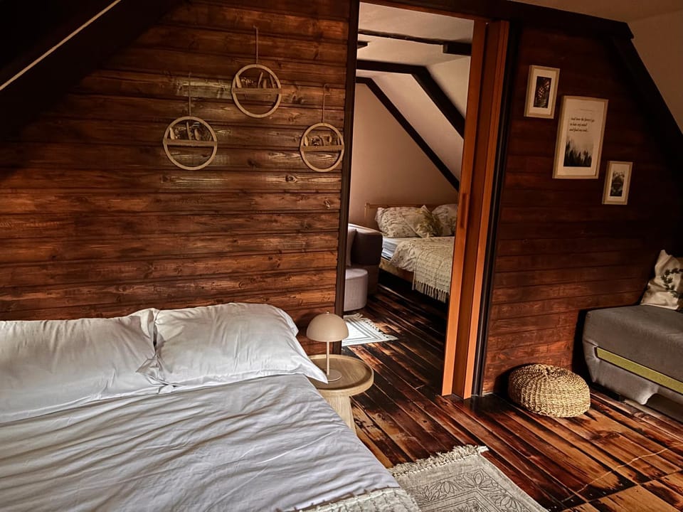 Cabana Crustacea House in Romania