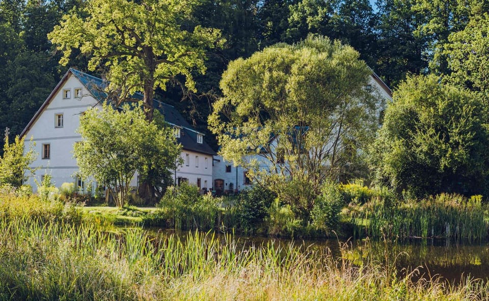 Property building, Natural landscape, Garden, Garden view