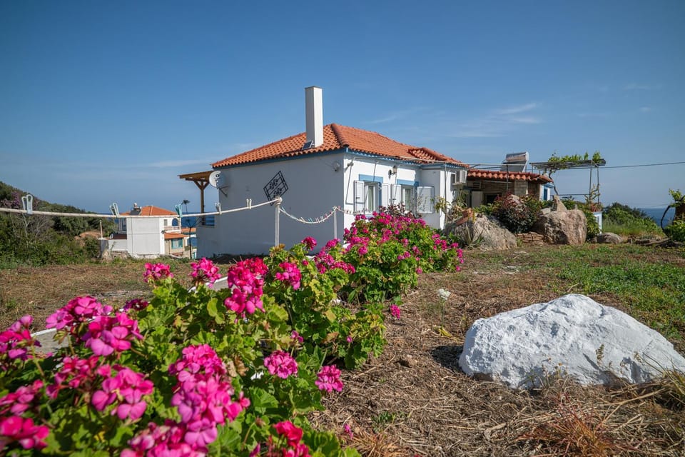 Property building, Natural landscape, Garden view