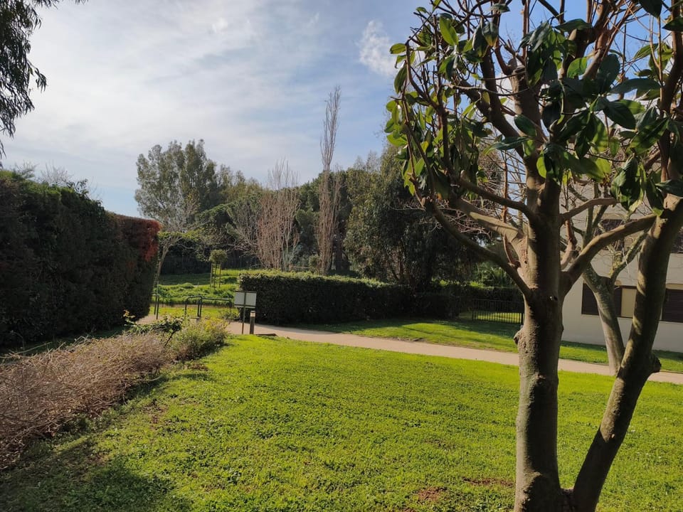 Natural landscape, Garden view