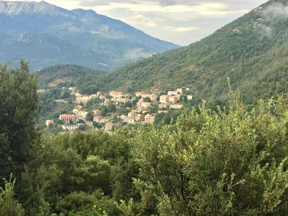 Mountain view