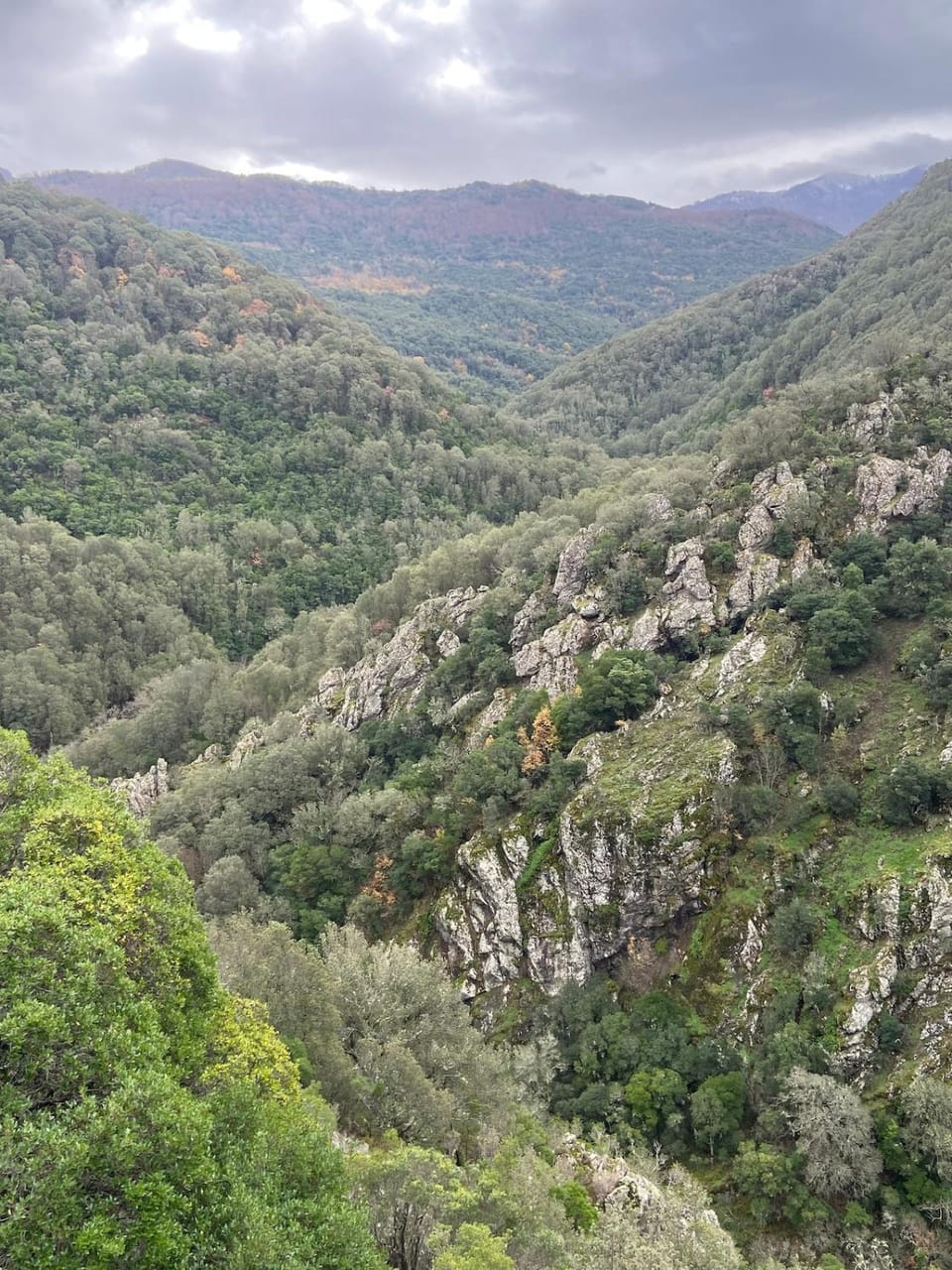 Mountain view