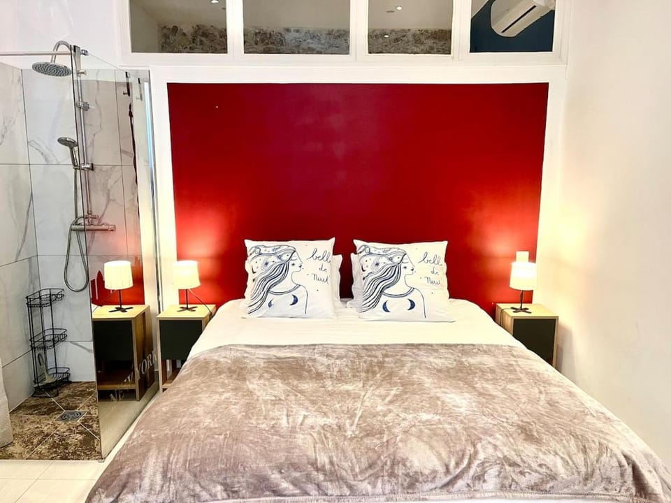 Superbe appartement rénové proche palais Apartment in Cannes