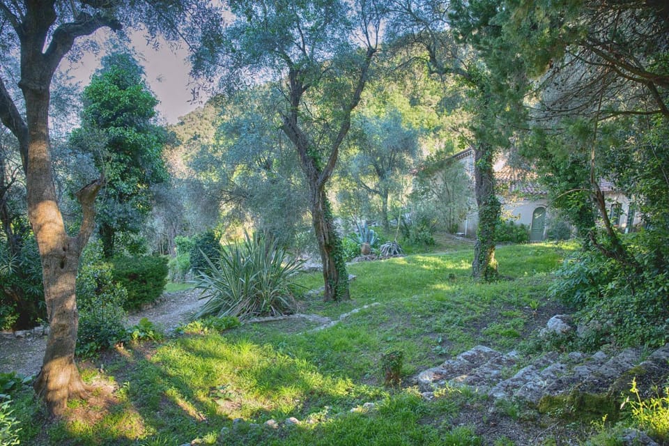 Natural landscape, Garden