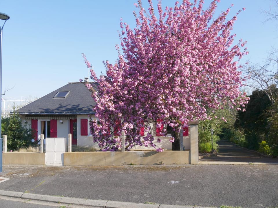Chez Jeannot Vacation rental in Le Mans