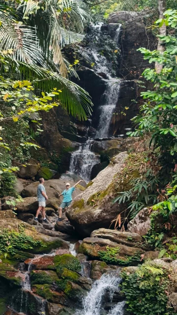 Natural landscape