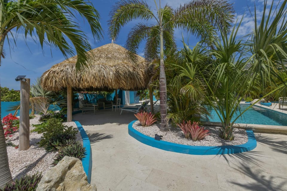 Garden, Swimming pool