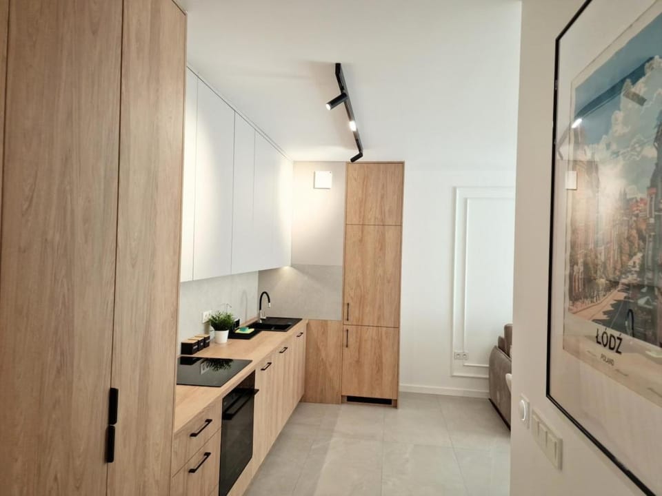 Kitchen or kitchenette, dishwasher, stove
