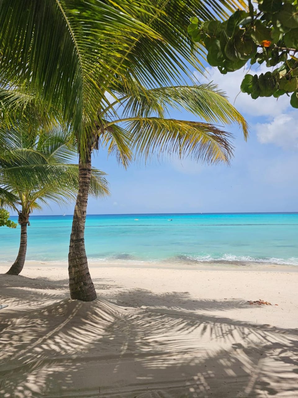 Aqua Esmeralda Luxury Beachfront Curazao 103 Apartment in Dominicus