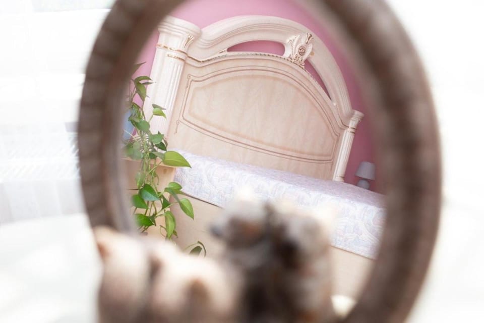 Апартаменти на Сихові, Драгана 1й Apartment in Lviv
