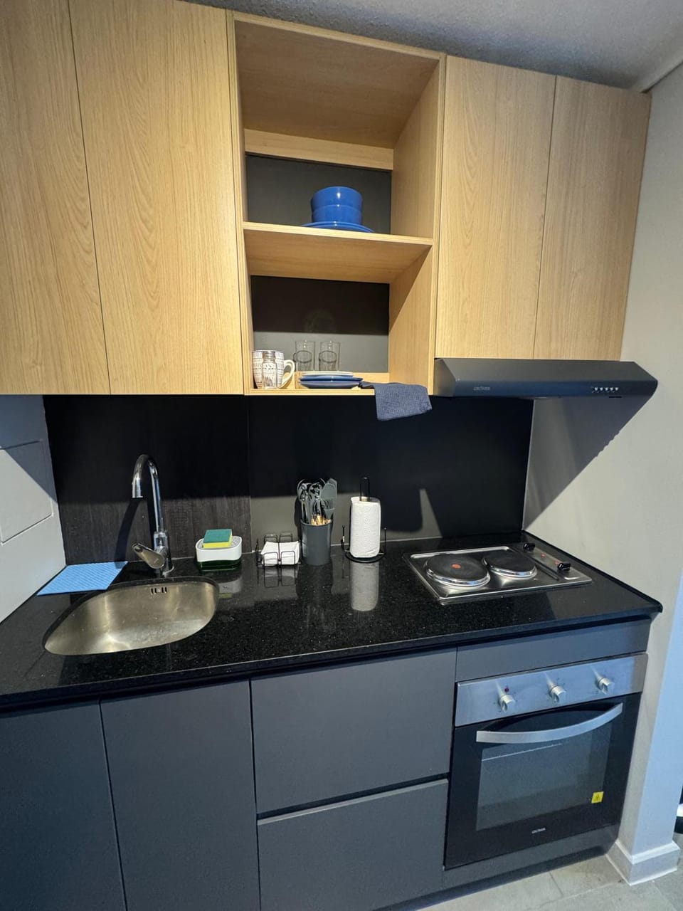 Dpto Estudio, Movistar, Parque O'higgins Apartment in Santiago