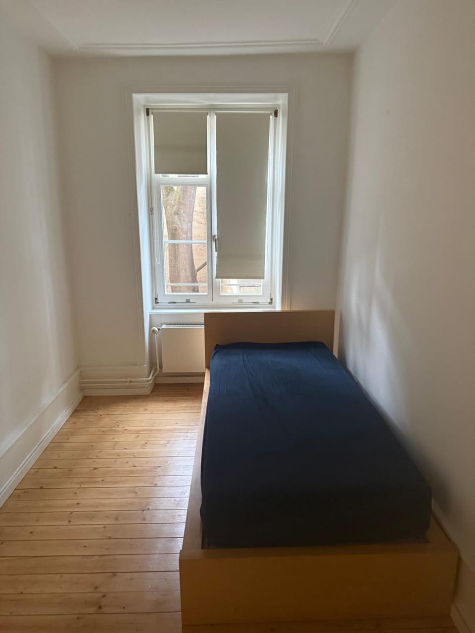 Basel Shared Apartment Vacation rental in Basel