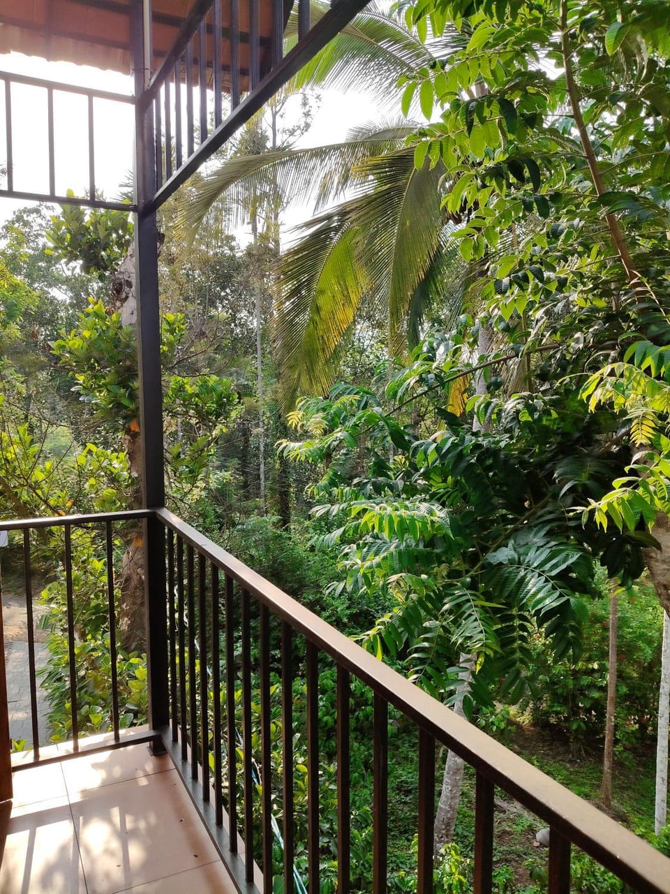 FOREST LIGHT Villas Vacation rental in Kerala