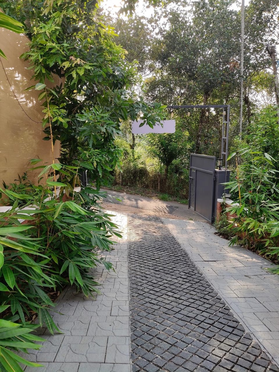 Garden view