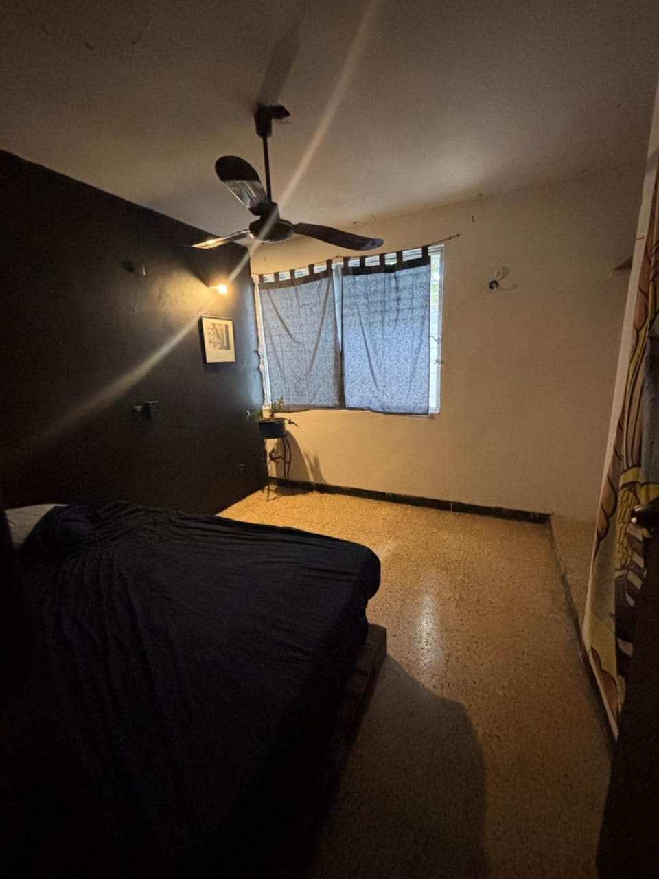 Casa tortuga Vacation rental in San Miguel de Cozumel