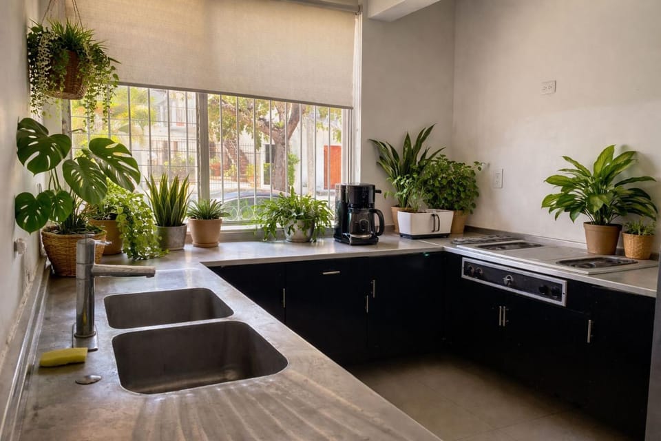 Kitchen or kitchenette
