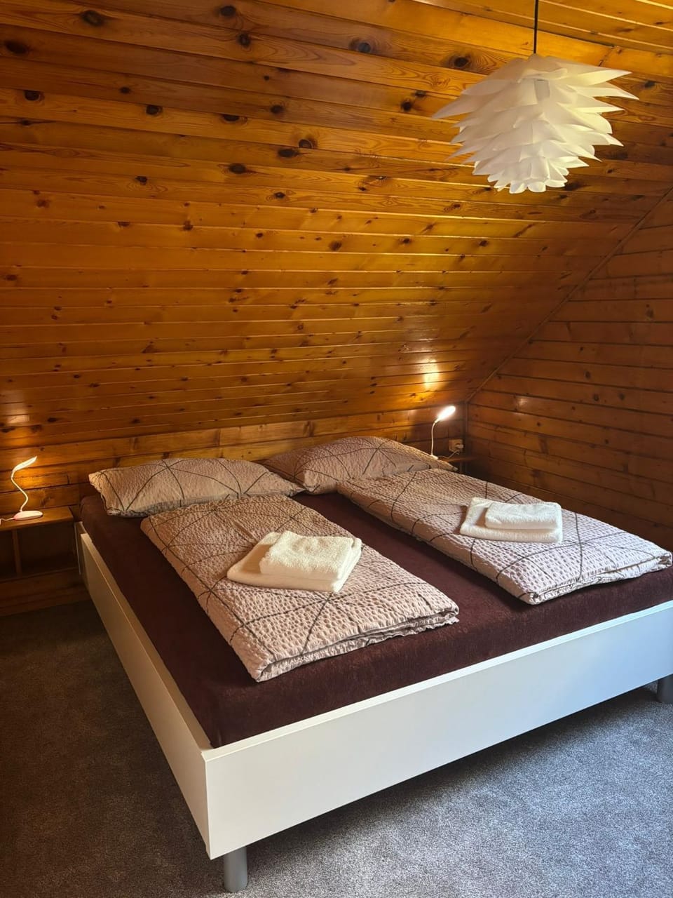 Chata Ludmila Apartment in Czechia