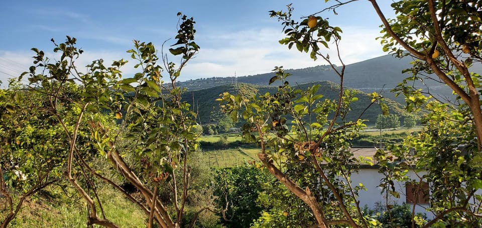 Nearby landmark, Spring, Day, Natural landscape, Mountain view, River view