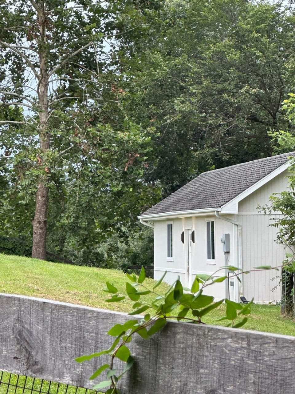 Cottage at The Blue Hydrangea House in Waterford