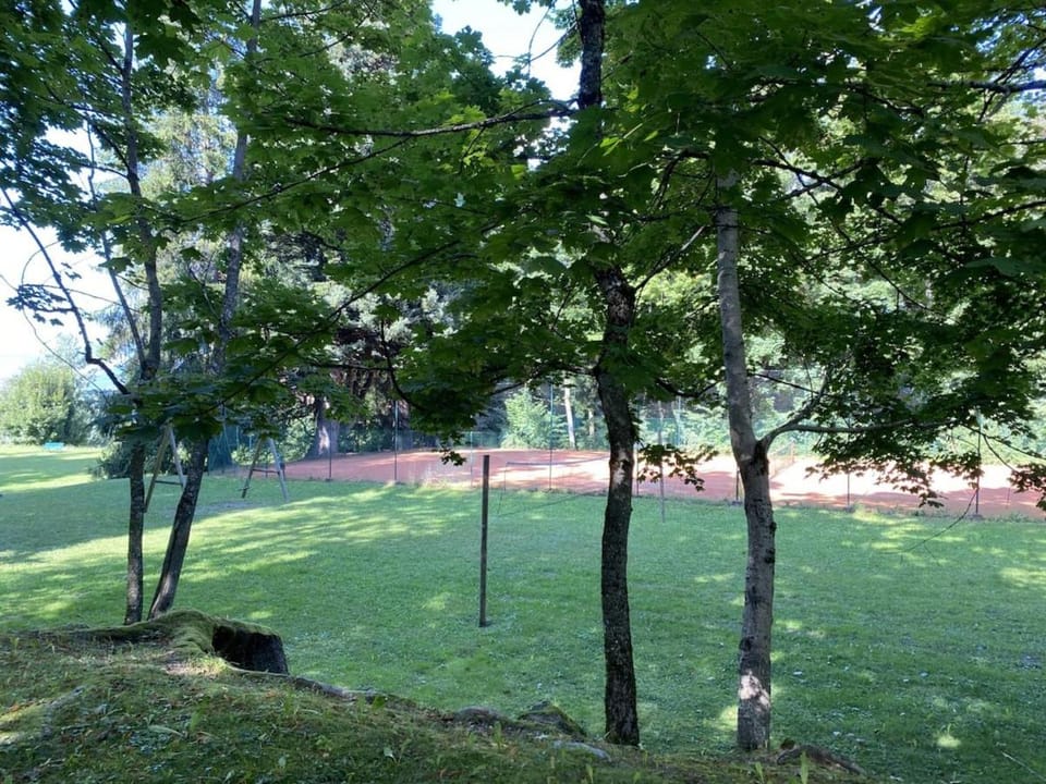 Tennis court