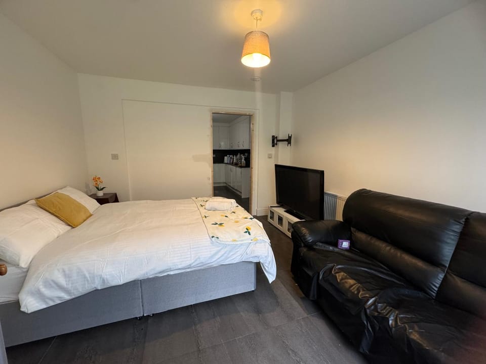 Bed, TV and multimedia, Seating area, Bedroom