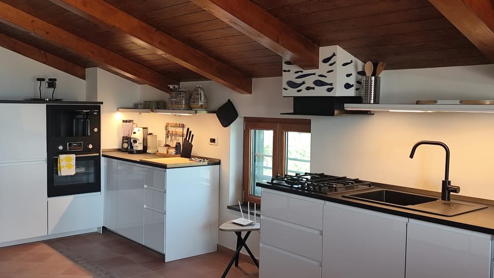 Kitchen or kitchenette, dishwasher, pet friendly, stove