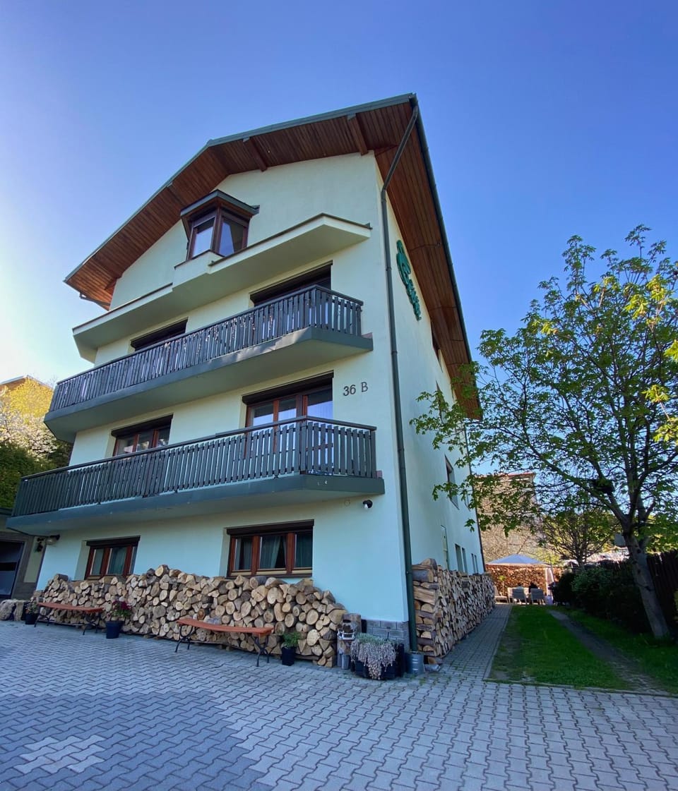 Willa Ewa Apartment in Lesser Poland Voivodeship