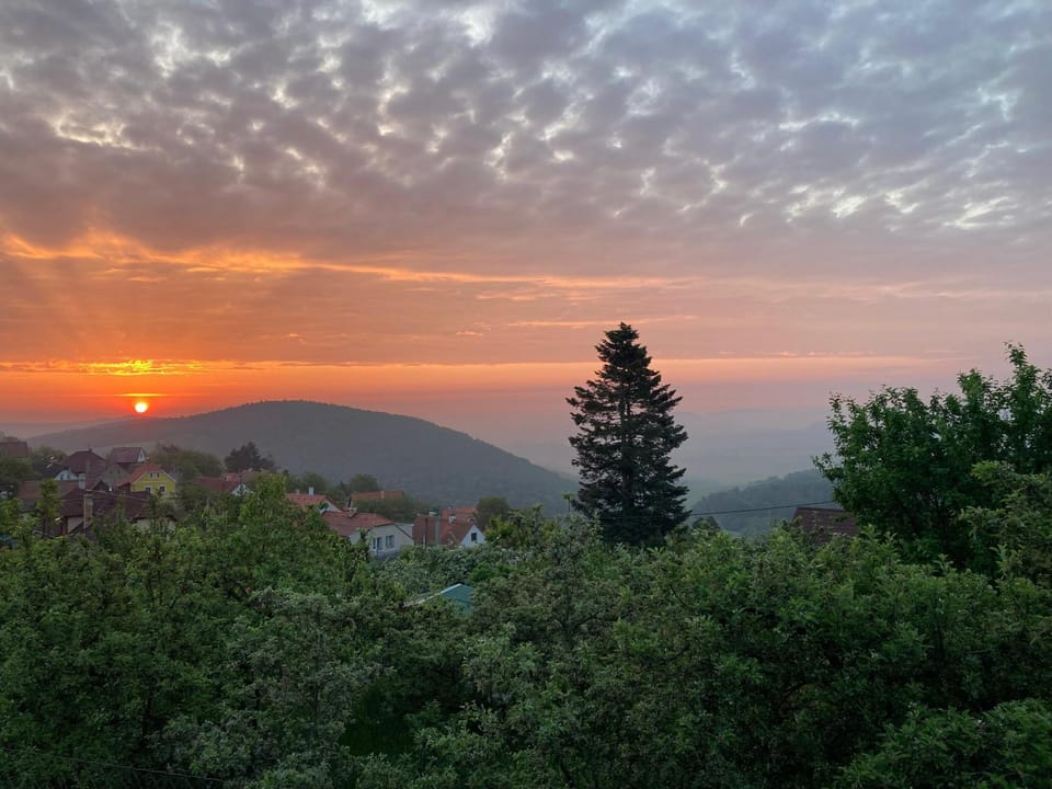 View (from property/room), Sunrise