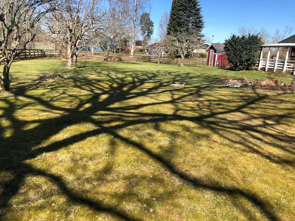 Children play ground