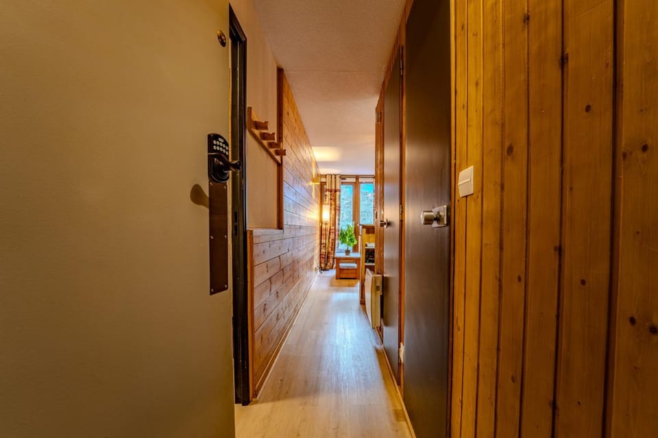 Spacious Slope front Ski-In and ski Out Apartment in Les Allues