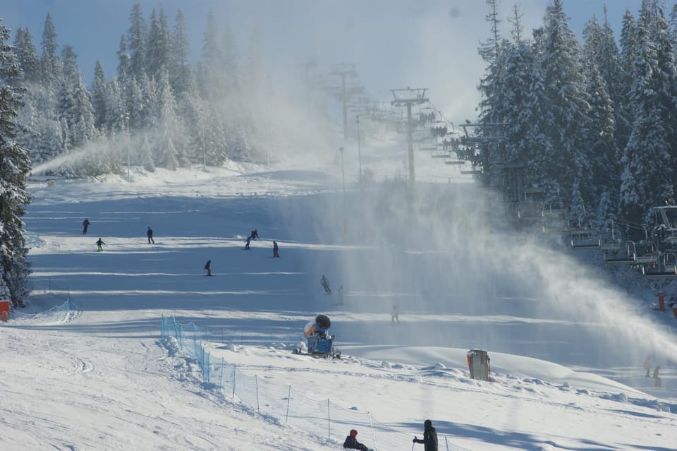 Winter, Skiing, group of guests