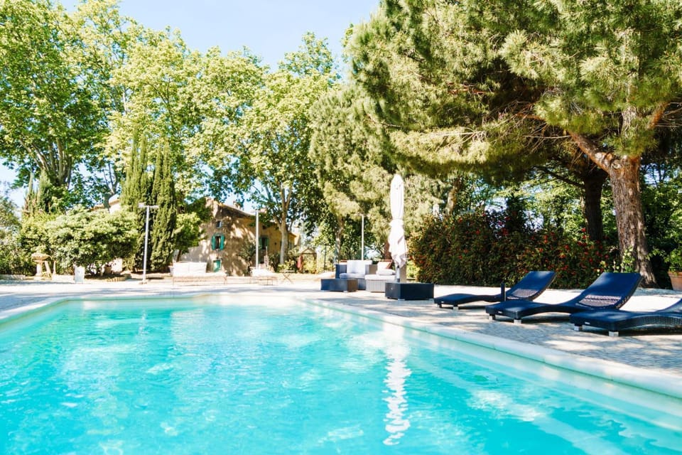 Garden, Swimming pool, Swimming pool, sunbed