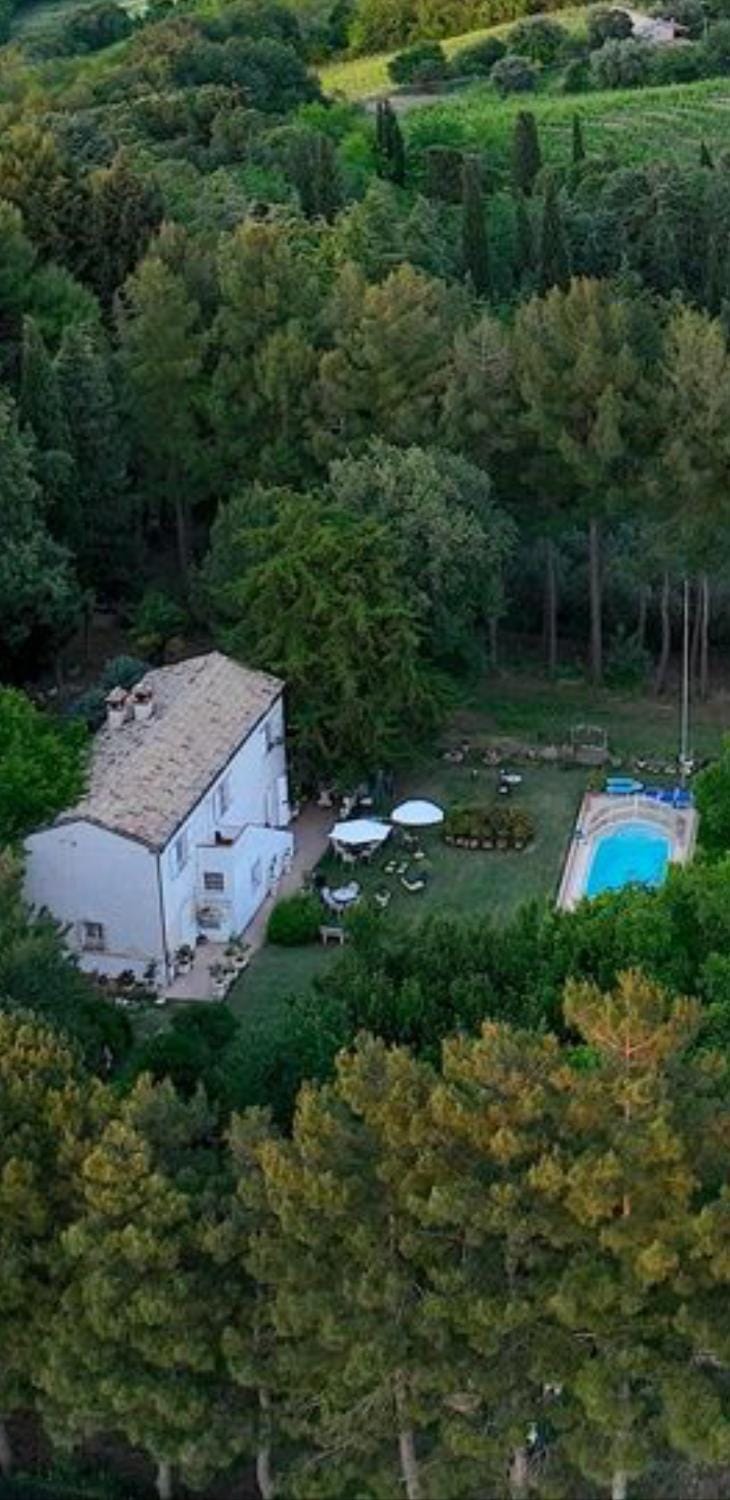 Natural landscape, Bird's eye view, Pool view, Swimming pool