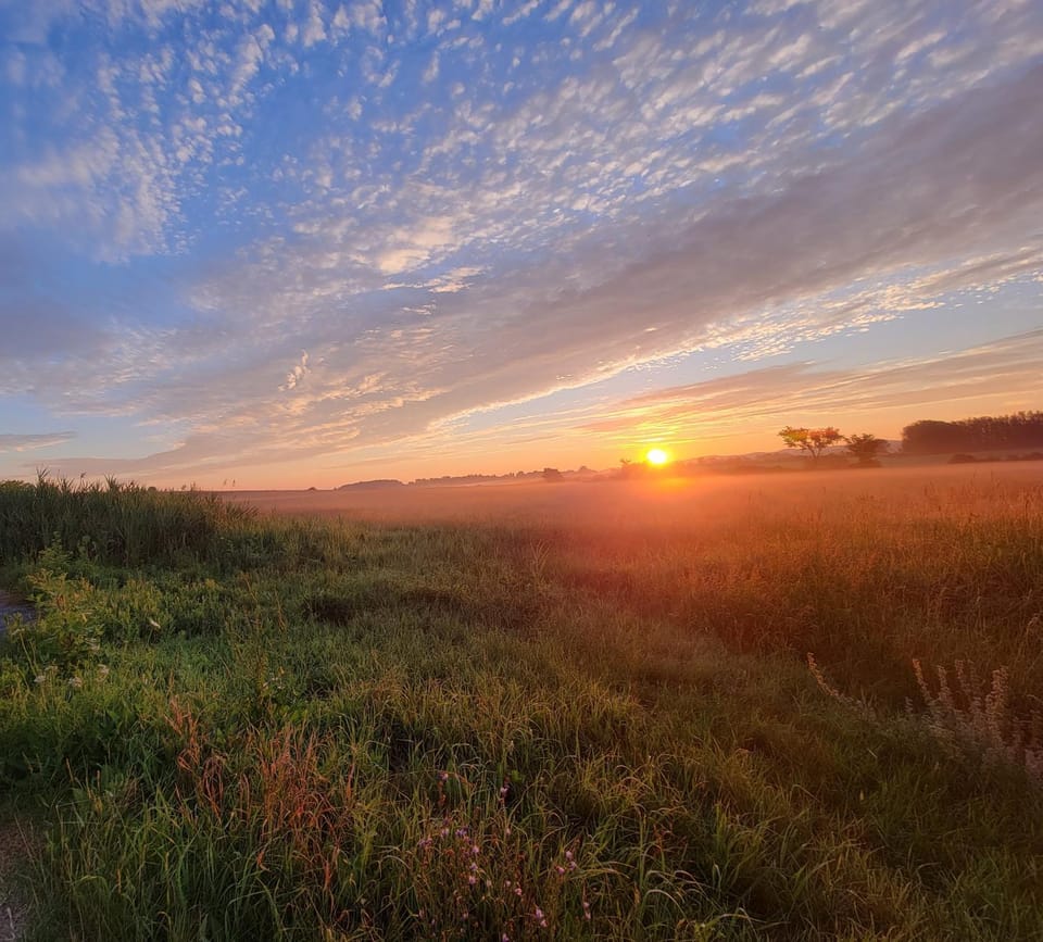 Peaceful Pasture Farm House in Capital District, NY, USA