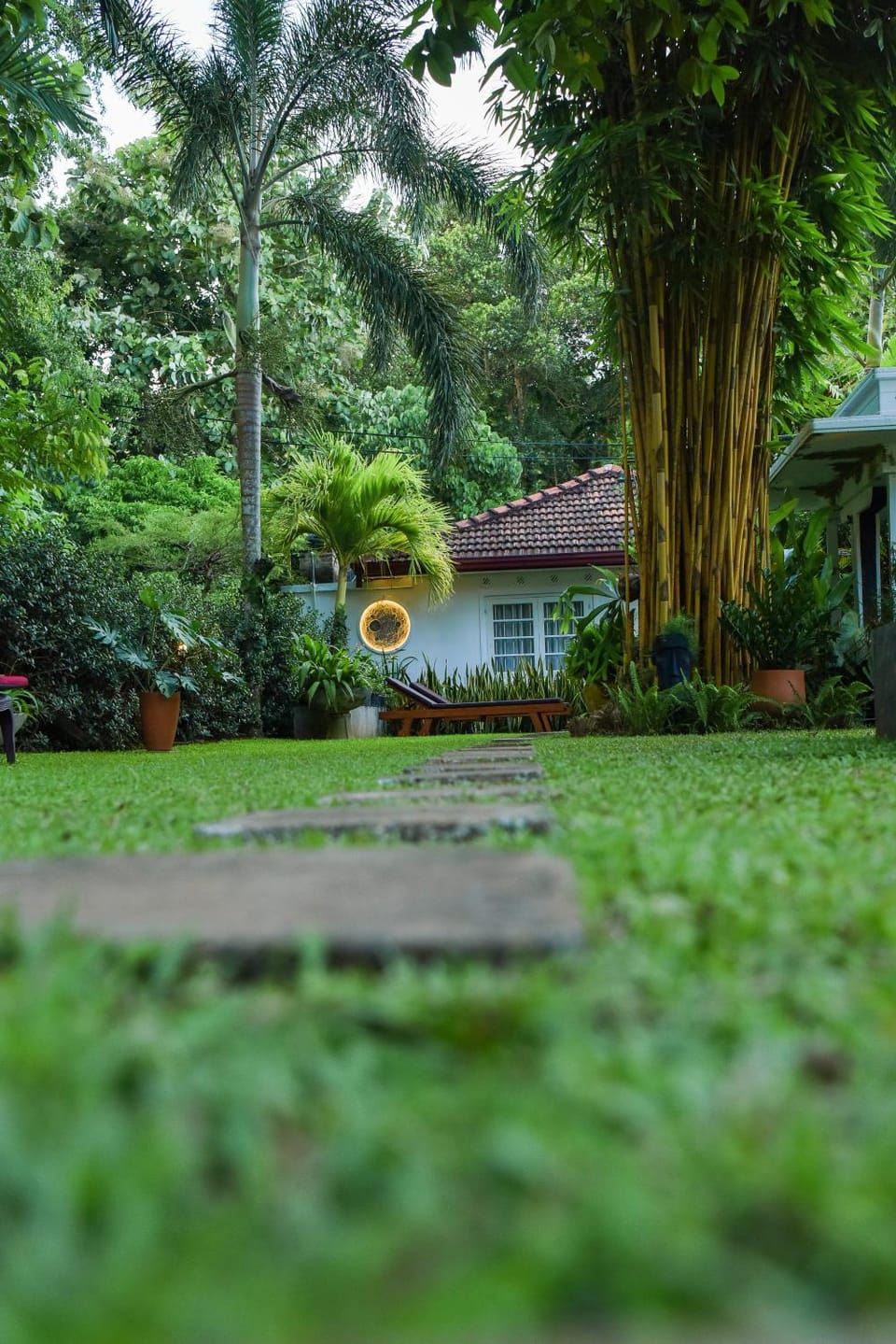 Natural landscape, Garden