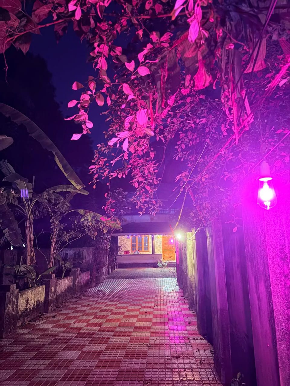 Coastal culture varkala Vacation rental in Varkala
