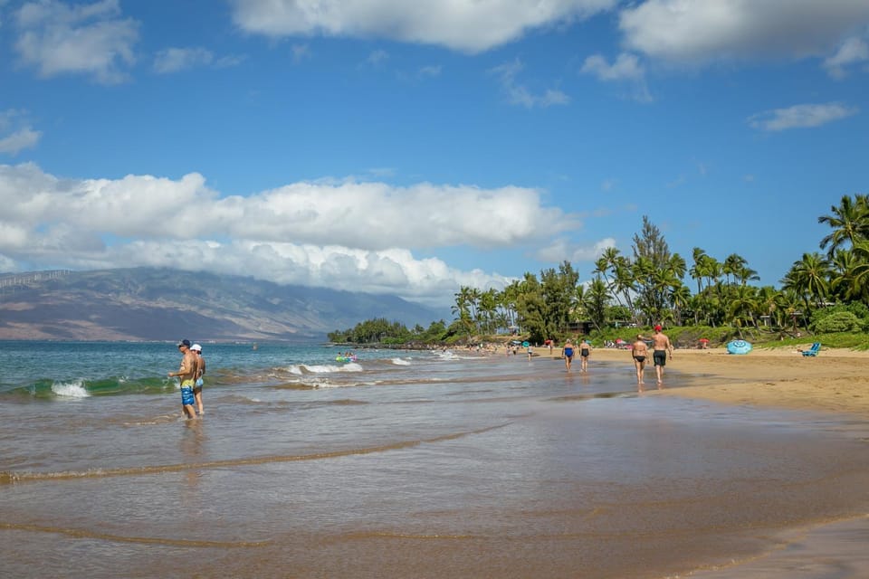 Maui Vista #2-423 Close to Kamaole Beach and Pickleball Courts Pool, Wifi Apartment in Kihei