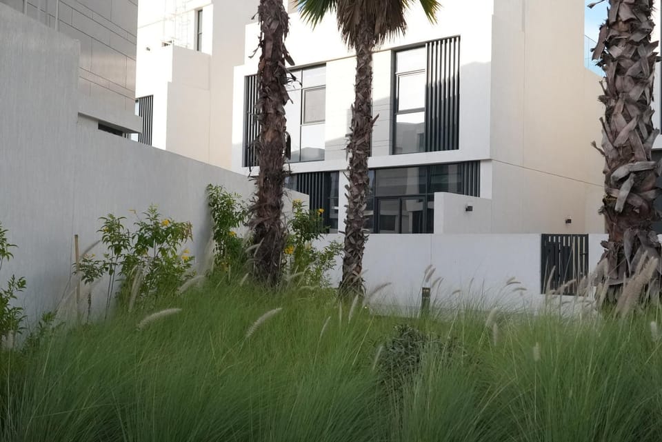 Property building, Garden view