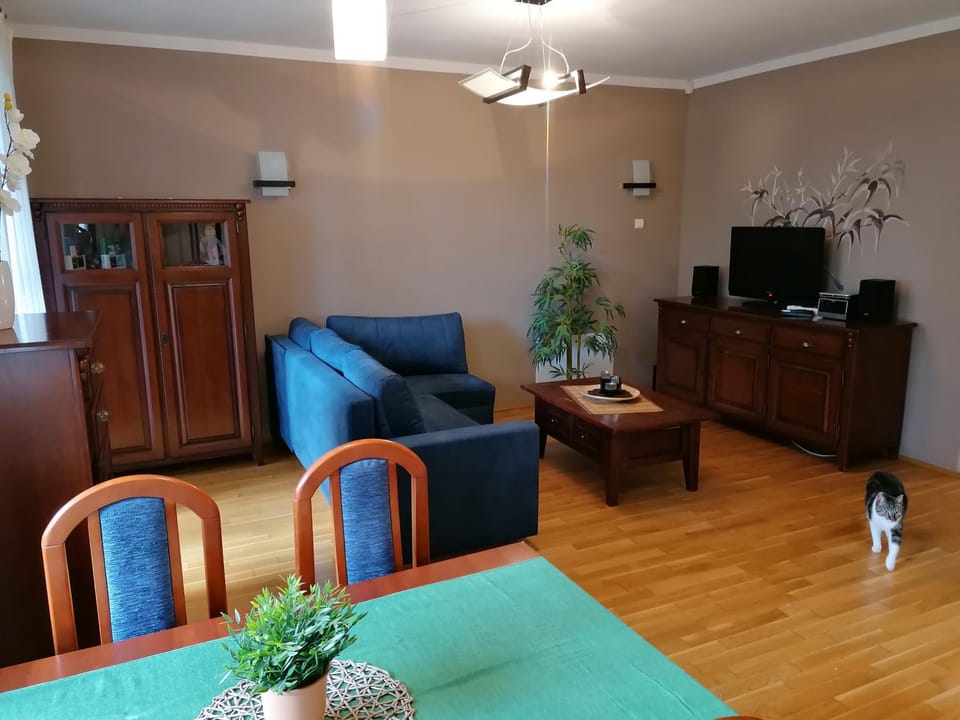 Apartament Bambusowy Apartment in Lower Silesian Voivodeship