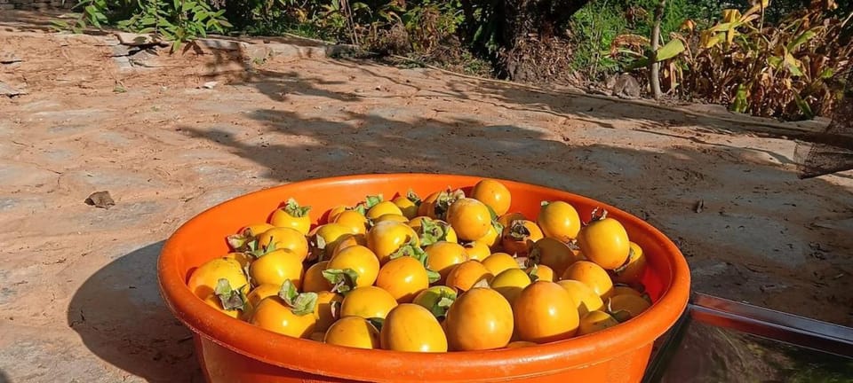 Mayoli Farm Stay Farm Stay in Uttarakhand
