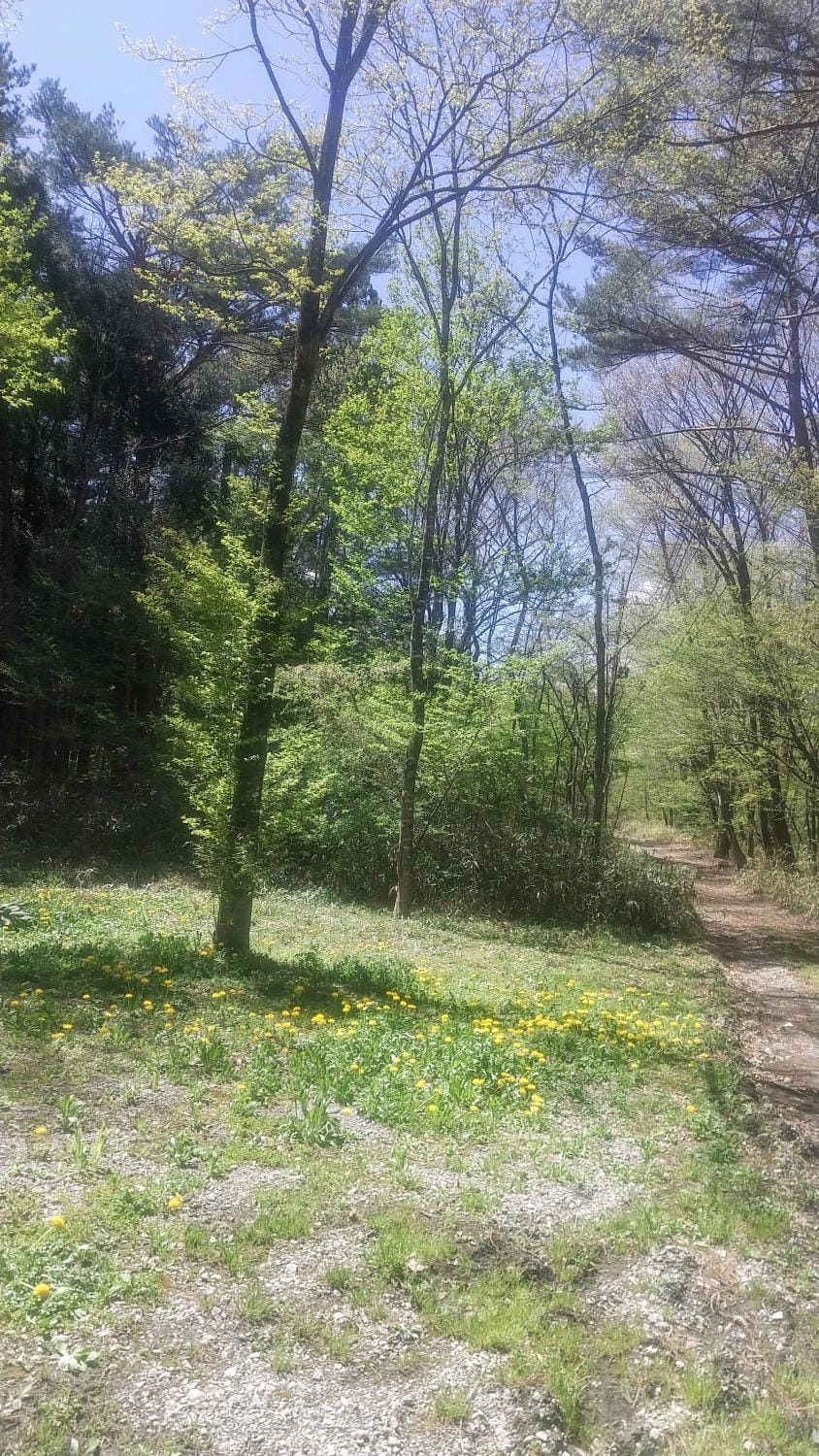 Spring