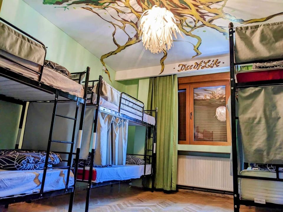 The Re-Born Hostel Hostel in Timisoara