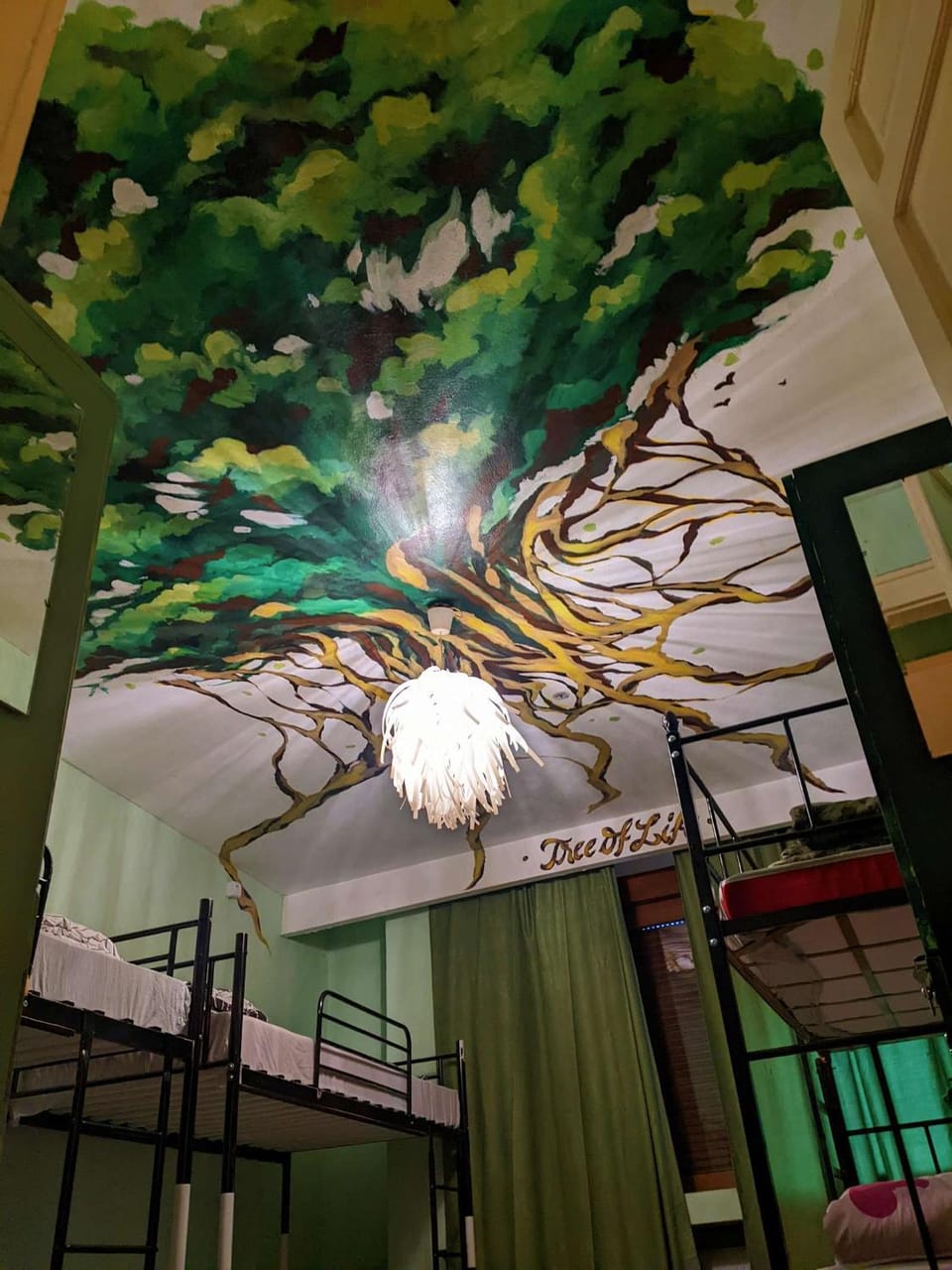 The Re-Born Hostel Hostel in Timisoara
