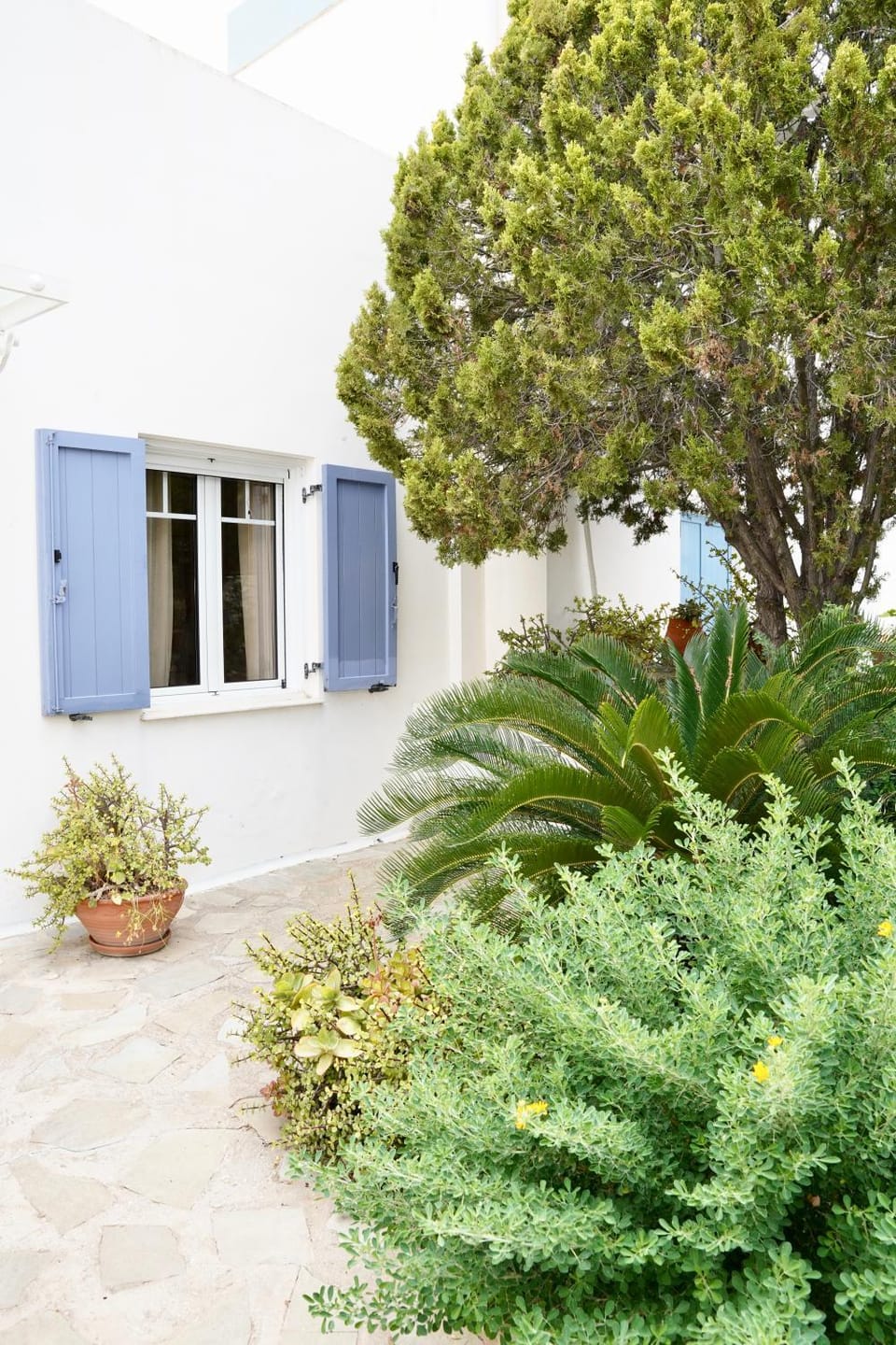 Property building, Spring, Day, Garden, Garden view
