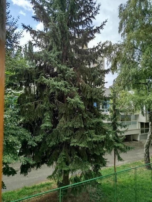 City Oasis Sarajevo Apartment in Sarajevo