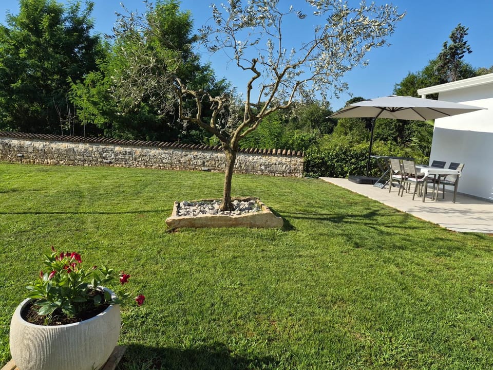 Property building, Garden, Garden view